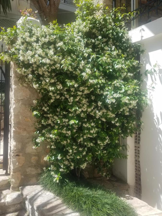 Apartamente Duplex Berti Sarandë エクステリア 写真